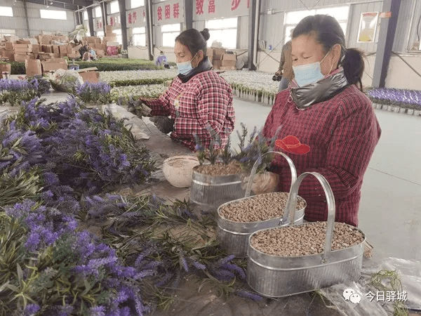 沙河店镇：仿真花成为致富花(图1)