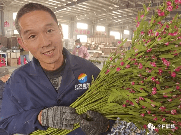 沙河店镇：仿真花成为致富花(图4)